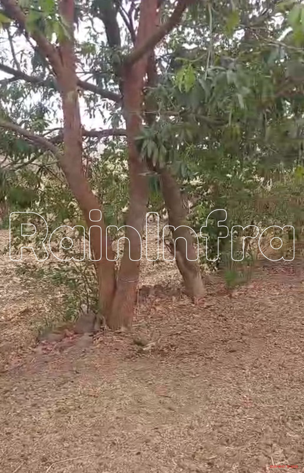 Plot for Sale in Indore